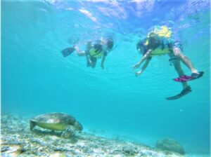 【渡嘉敷島/那覇or北谷発/日帰り】チャーター船で行く！ウミガメ遭遇率90%以上突破☆渡嘉敷島『阿波連ビーチ』ウミガメシュノーケリングツアー＜6歳から参加OK・昼食＆送迎付き＞