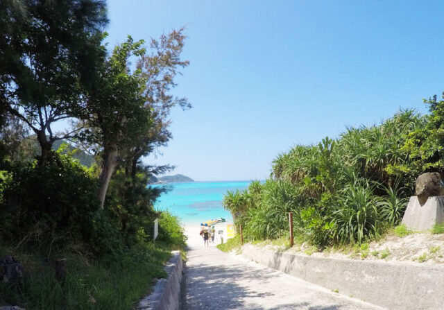 2024年社員旅行、サークル旅行で行きたい！沖縄離島『慶良間諸島』のおすすめご紹介