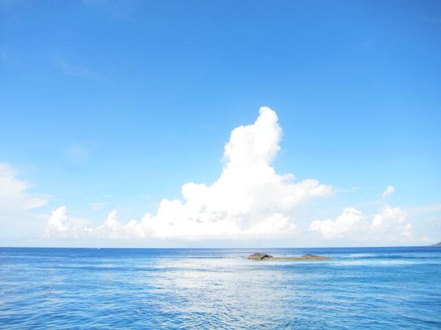 【慶良間諸島】リピーター多数！サンゴとカメの楽園で《選べる2ボートor3ボート》ファンダイビングツアー（No.306）