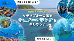 慶良間シュノーケリングKV_sp