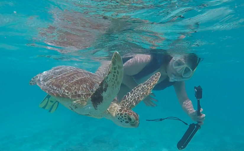 渡嘉敷島でシュノーケリングを楽しむ男性