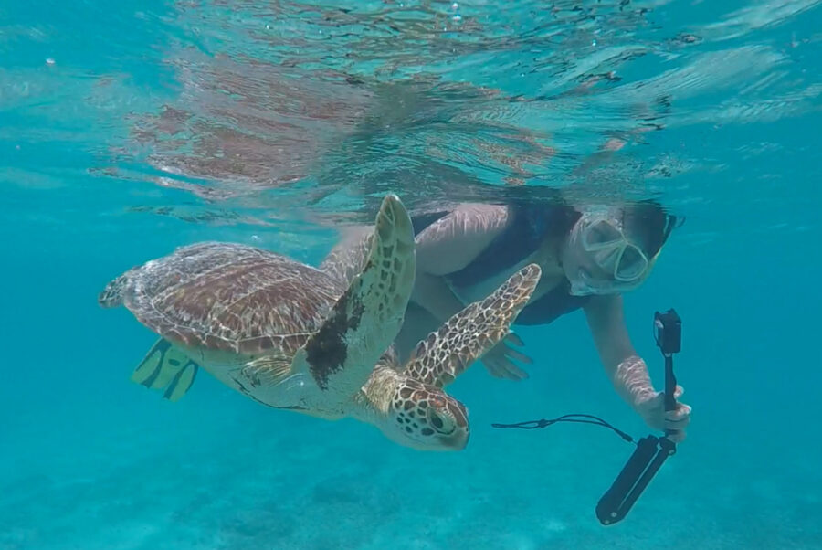 渡嘉敷島でシュノーケリングを楽しむ男性