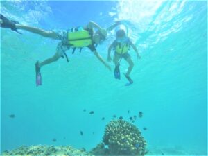 【那覇泊港発】高速船orフェリーで行く！慶良間諸島2大ビーチ「阿波連ビーチ」海水浴＆「とかしくビーチ」ウミガメシュノーケリングツアー《嬉しいランチ付き》