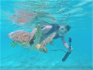 【那覇泊港発】高速船orフェリーで行く！慶良間諸島2大ビーチ「阿波連ビーチ」海水浴＆「とかしくビーチ」ウミガメシュノーケリングツアー《嬉しいランチ付き》