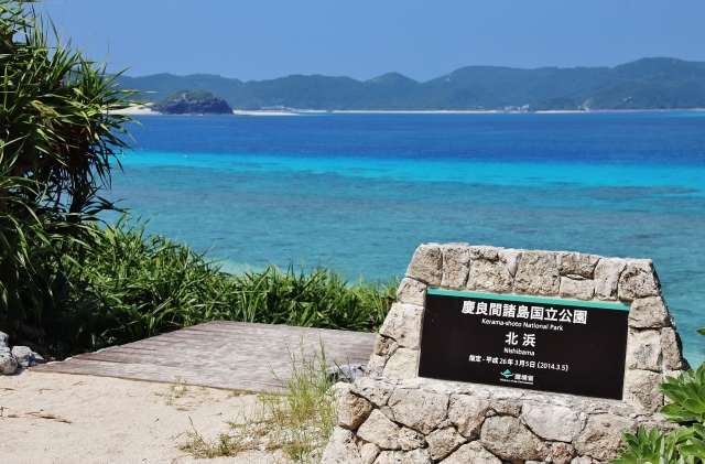 慶良間諸島「阿嘉島」ダイビングの魅力とは？おすすめの阿嘉島ダイビングポイントやツアーをご紹介