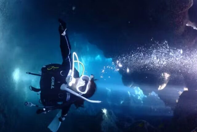 座間味　ダイビング　ファンダイビング