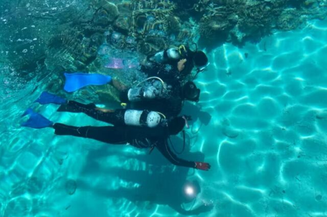 ガイド　ダイビング　体験ダイビング