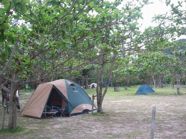 慶良間諸島でキャンプは楽しめる？慶良間でするキャンプの魅力やおすすめスポットご紹介！阿真ビーチの青少年旅行村キャンプ場　（座間味島公式HPから引用）