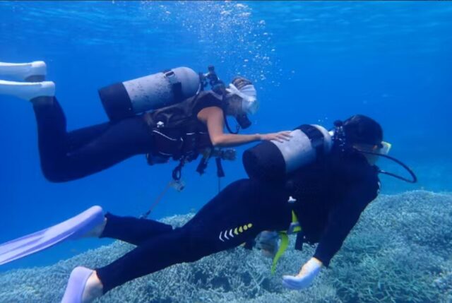 座間味　ダイビング　体験ダイビング