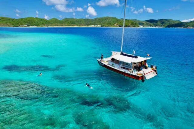 座間味　ダイビング　ファンダイビング