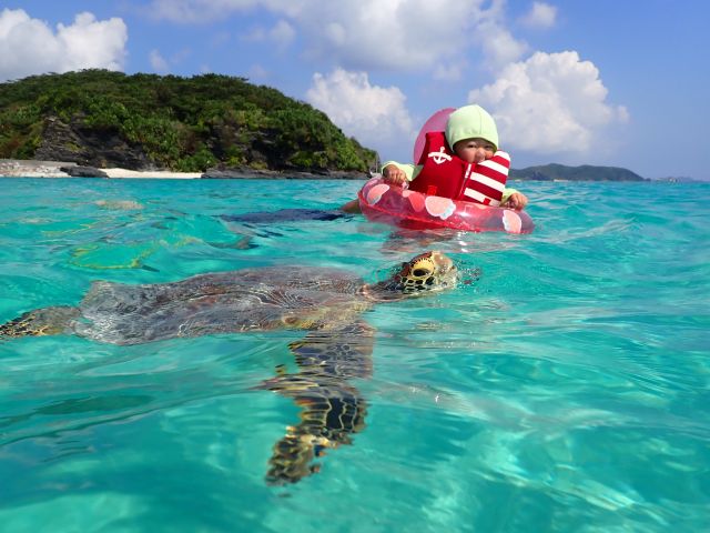 【座間味/半日】日帰りOK★透明度抜群の座間味島の海でSUPクルージング＆シュノーケル体験《写真撮影付き》天候に合わせてベストなポイントへご案内！（No.388）