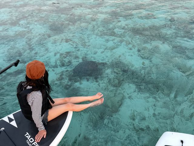 【座間味/半日】座間味島でココだけ☆沖縄伝統帆船サバニで巡る大自然クルージング《写真撮影・ドローン撮影オプション可》沖縄本島から日帰り参加OK