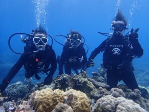 【那覇発・慶良間諸島】保証あり☆ウミガメ観察体験ダイビング＆シュノーケリングツアー《水中写真＆動画プレゼント付・那覇市内送迎可》