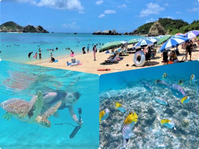 慶良間諸島2大ビーチ「阿波連ビーチ」海水浴＆「とかしくビーチ」ウミガメシュノーケリングツアー