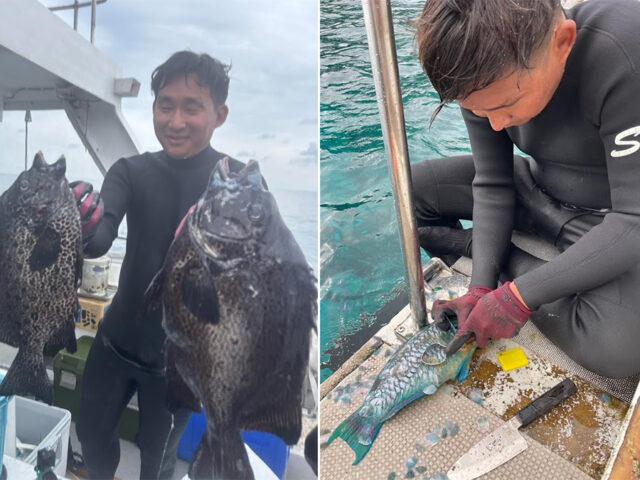シュノーケリング、チービシ諸島、漁
