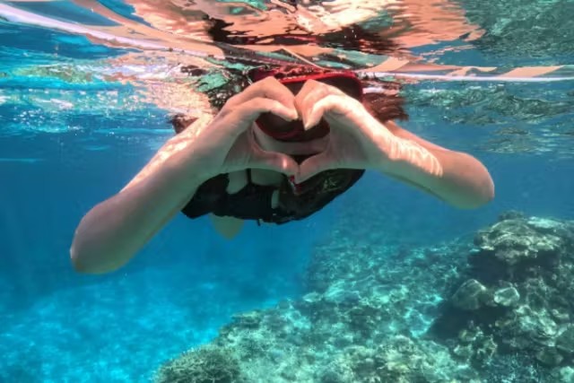 シュノーケリング