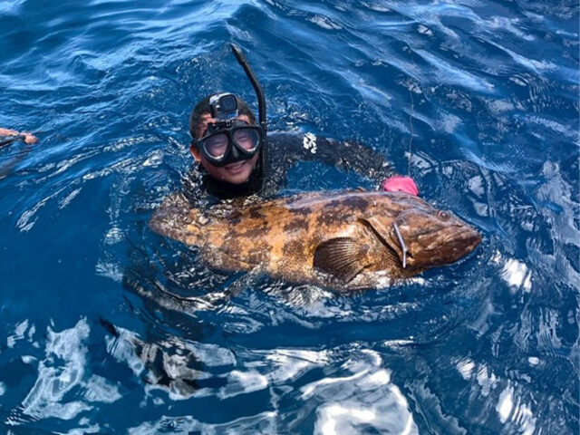 シュノーケリング、チービシ諸島、漁