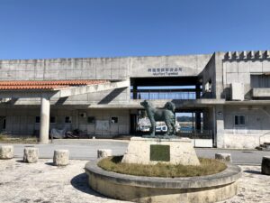 【慶良間諸島/阿嘉島/90分】ウミガメ遭遇率90％以上突破★5歳からOK！世界が恋する海でウミガメシュノーケルツアー《レンタル器材無料☆写真データプレゼント》