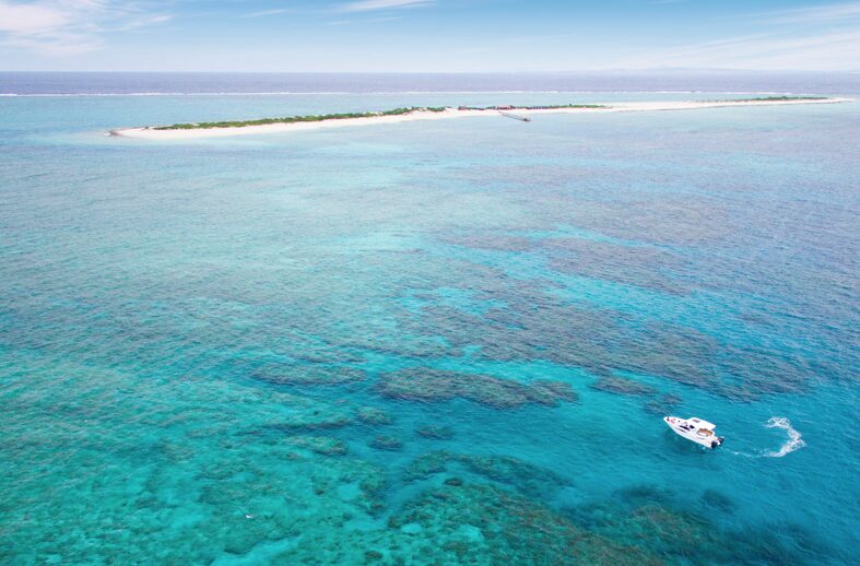 【那覇発/慶良間諸島/半日】7月～9月限定◆豪華カタマラン船で行く！ボートシュノーケリングツアー《バナナボート1回無料・写真無料付き》（No.406）