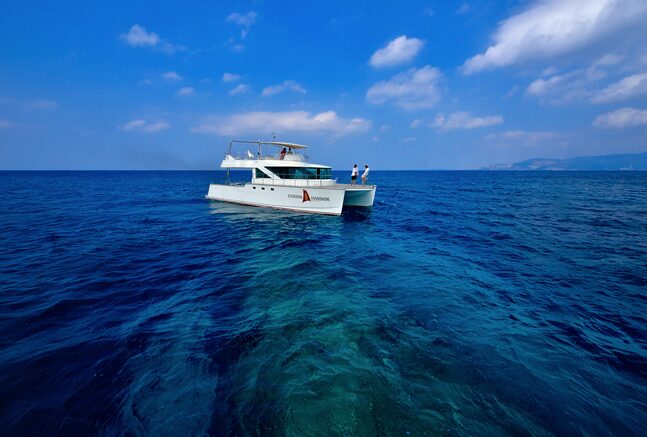 【那覇発/慶良間諸島/半日】7月～9月限定◆豪華カタマラン船で行く！ボートシュノーケリングツアー《バナナボート1回無料・写真無料付き》（No.406）