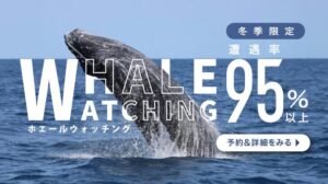 spホエールウォッチングWW_KV_sp