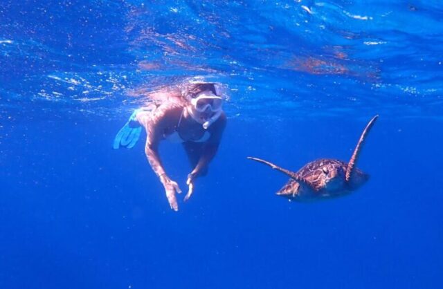 完全貸切チャーターでシュノーケリングかスキンダイビングを体験