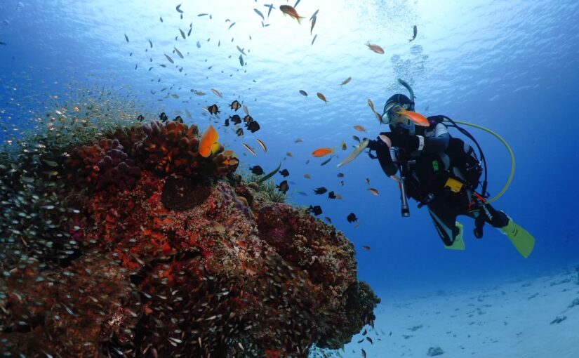 慶良間　ダイビング