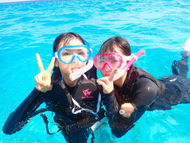 完全貸切チャーターでシュノーケリングかスキンダイビングを体験