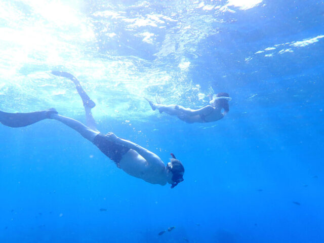 完全貸切チャーターでシュノーケリングかスキンダイビングを体験