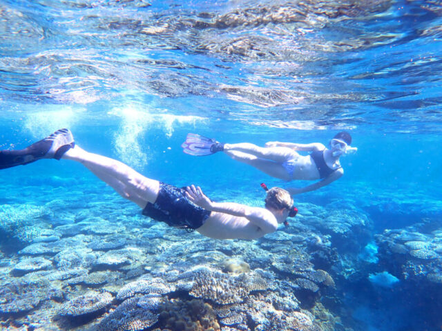 完全貸切チャーターでシュノーケリングかスキンダイビングを体験