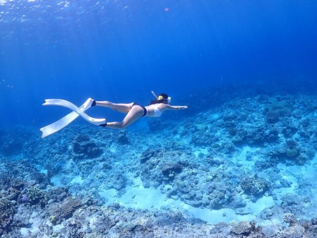 完全貸切チャーターでシュノーケリングかスキンダイビングを体験