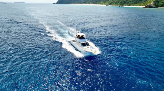 ホエールウォッチング