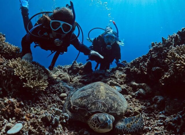 渡嘉敷島体験ダイビング