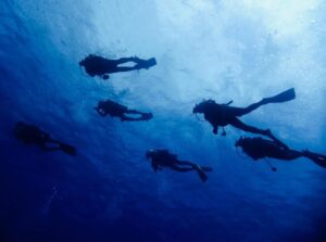 渡嘉敷島体験ダイビング