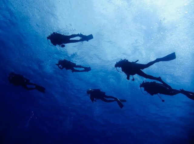 【慶良間/渡嘉敷島/1日】リクエストベースで楽しむファンダイビング2diveツアー＜送迎あり＞初心者からベテランまで満足！ポイントまでの移動が近い♪