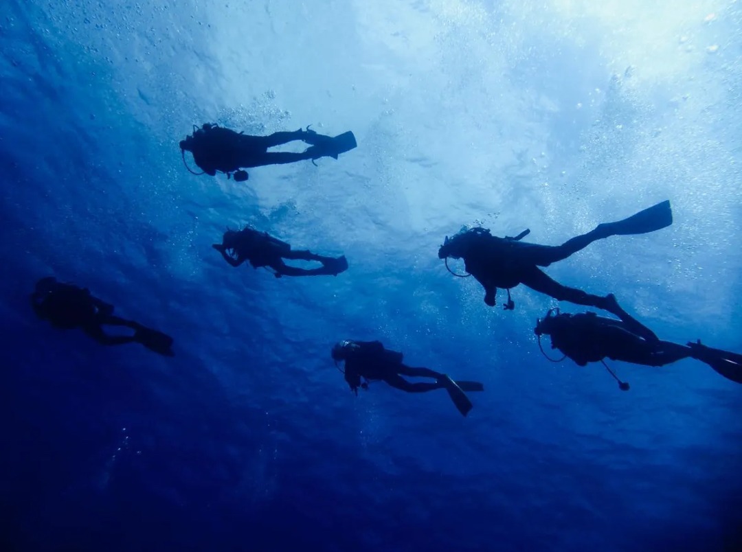 【慶良間/渡嘉敷島/1日】リクエストベースで楽しむファンダイビング2diveツアー＜送迎あり＞初心者からベテランまで満足！ポイントまでの移動が近い♪（No.336）