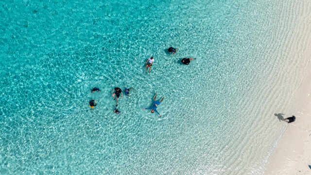 上空から見た透明度の高い海と遊泳する人々
