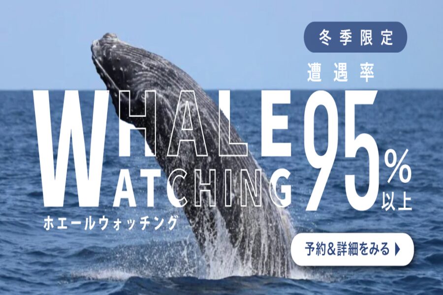 KV　ホエールウォッチング　ホエール