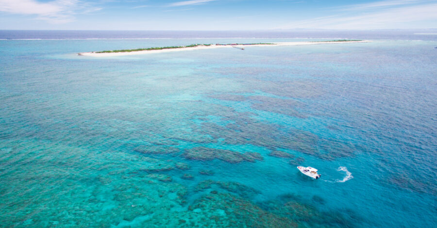【那覇発/慶良間諸島/半日】7月～9月限定◆豪華カタマラン船で行く！ボートシュノーケリングツアー《バナナボート1回無料・写真無料付き》（No.406）