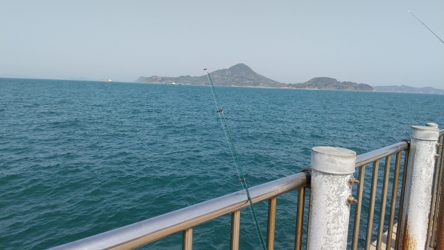 阿嘉島で釣るならココ！初心者から上級者まで楽しめるスポットとは？
