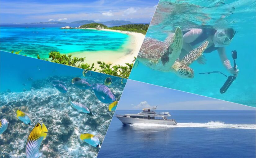 【那覇or北谷発/日帰り】《2024夏期限定》クルーザーで行く☆渡嘉敷島ウミガメシュノーケリングツアー（No.379）