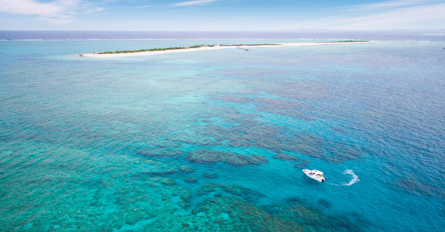 【那覇発/慶良間/貸切】憧れのクルーザーチャーターで贅沢体験！シュノーケル・マリンスポーツ・船上BBQを満喫☆＜最大45名まで乗船OK＞セルリアンドリームVで慶良間の絶景へ（No.408）