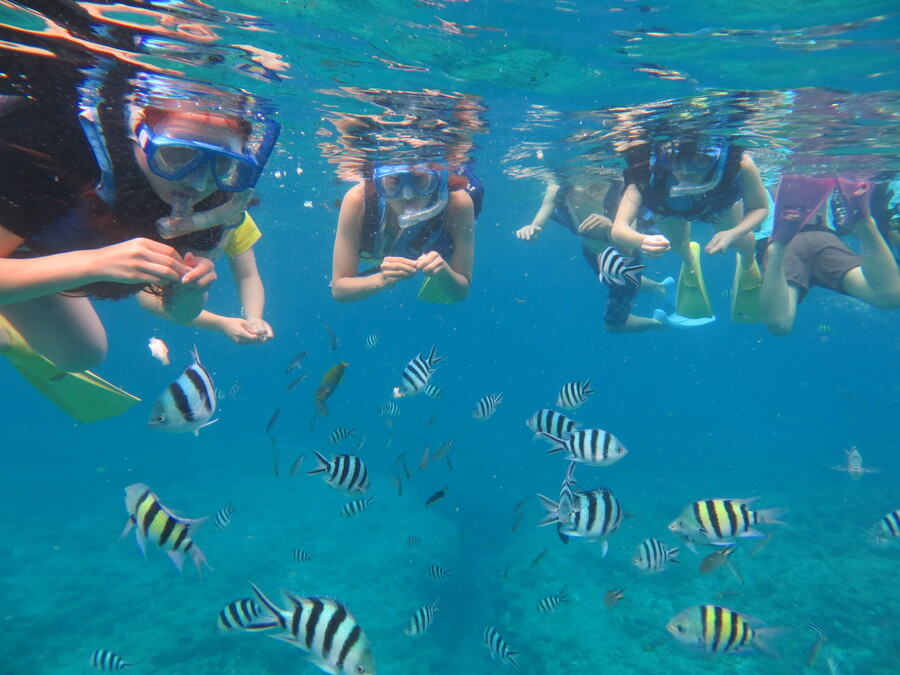 【那覇発/慶良間/貸切】憧れのクルーザーチャーターで贅沢体験！シュノーケル・マリンスポーツ・船上BBQを満喫☆＜最大45名まで乗船OK＞セルリアンドリームVで慶良間の絶景へ（No.408）