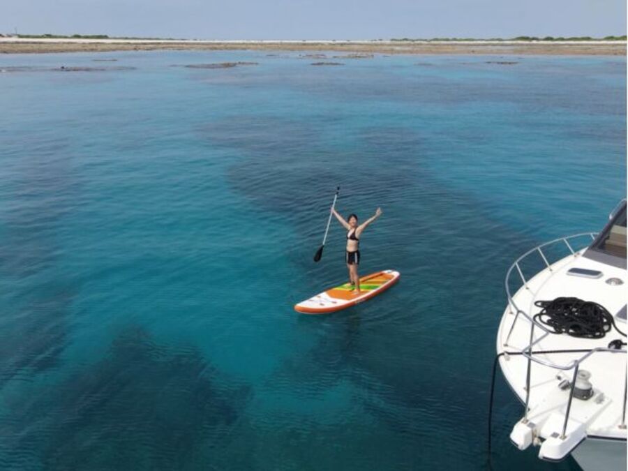 【那覇発/慶良間/貸切】SAFARIで行くチービシ貸切クルーズ！マリンスポーツもBBQも自由に楽しめる贅沢プラン＜最大12名まで乗船OK＞（No.411）