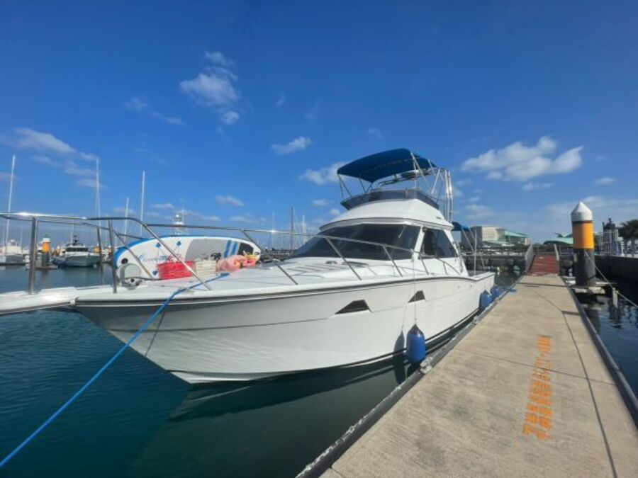 【那覇発/慶良間/貸切】SAFARIで行くチービシ貸切クルーズ！マリンスポーツもBBQも自由に楽しめる贅沢プラン＜最大12名まで乗船OK＞（No.411）