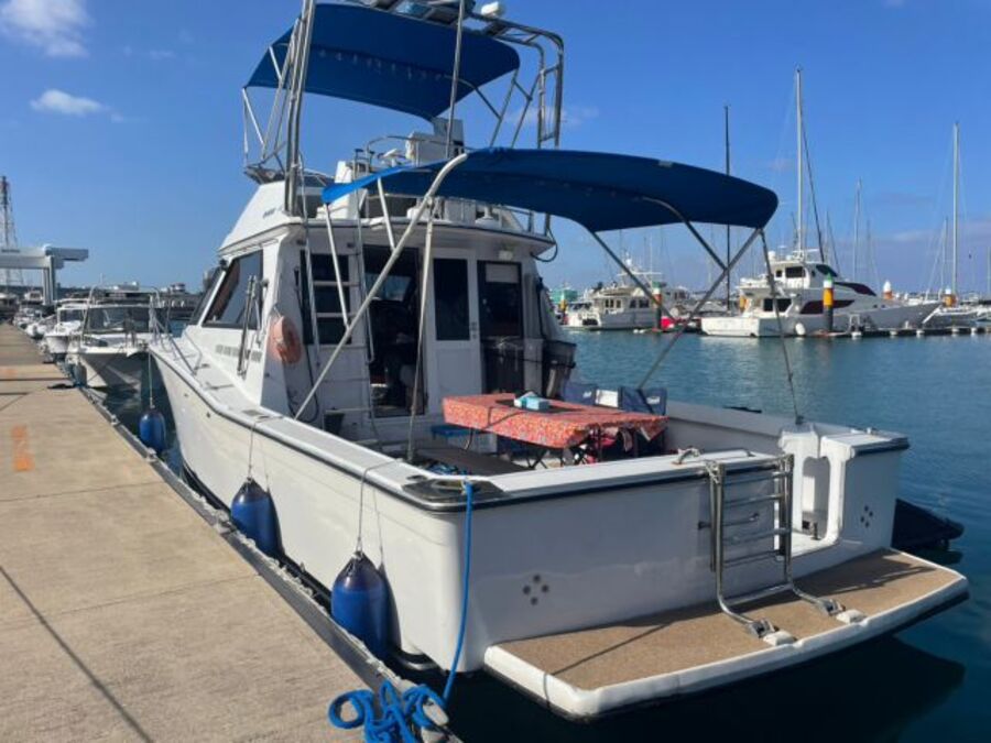 【那覇発/慶良間/貸切】SAFARIで行くチービシ貸切クルーズ！マリンスポーツもBBQも自由に楽しめる贅沢プラン＜最大12名まで乗船OK＞（No.411）