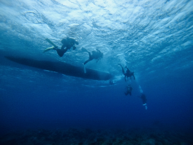 チービシ諸島　ダイビング
