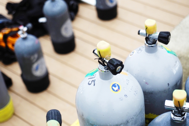 ファンダイビング 初心者 ガイド