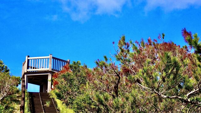 港の見える丘展望台