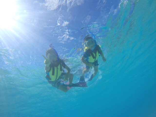 チャーター船　ウミガメ　シュノーケリング